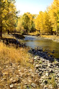 Riparian04.tif