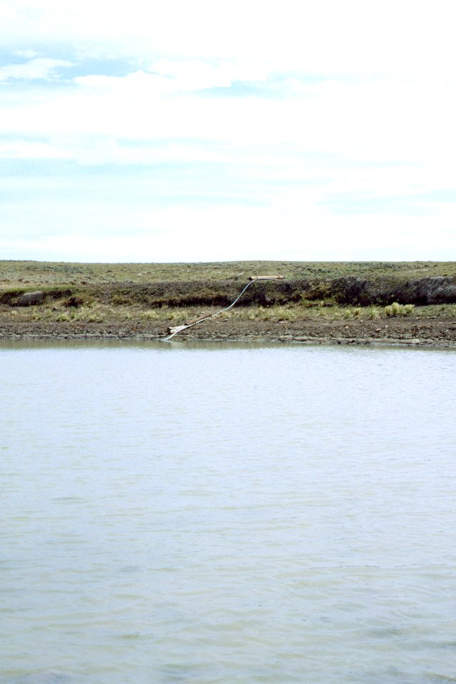 Rangeland46.tif