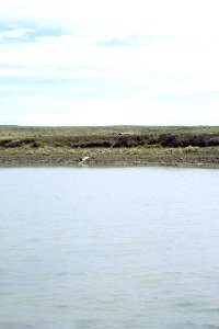 Rangeland46.tif
