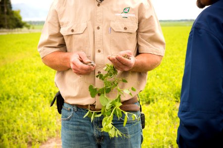 4065 NRCS projects