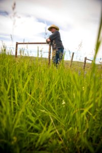 5324 NRCS projects