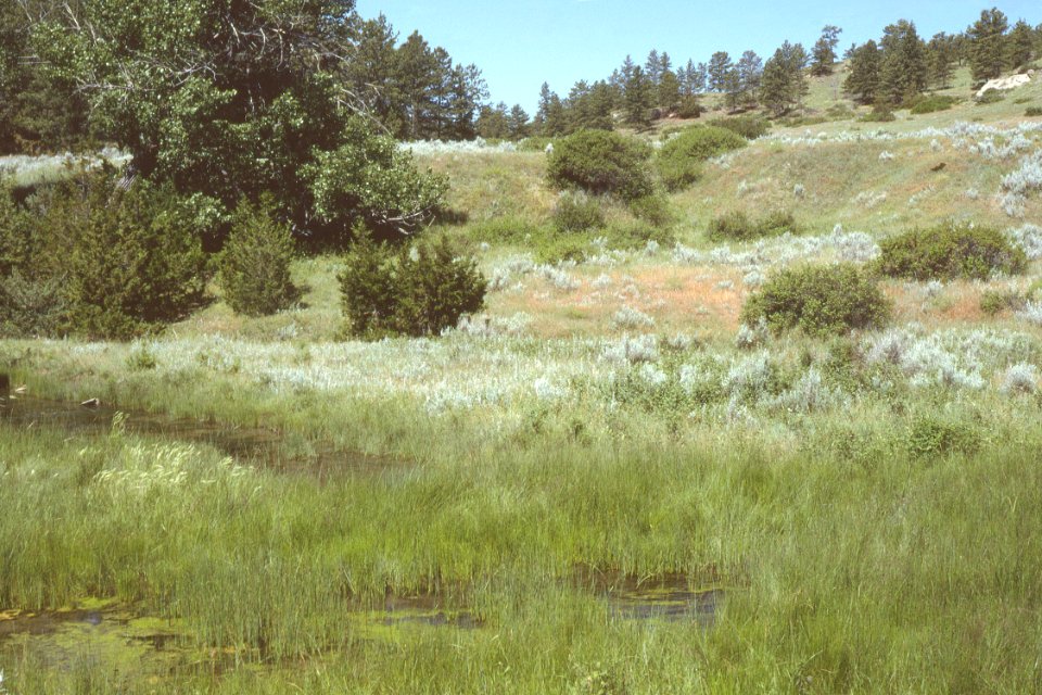 Wetlands16.tif