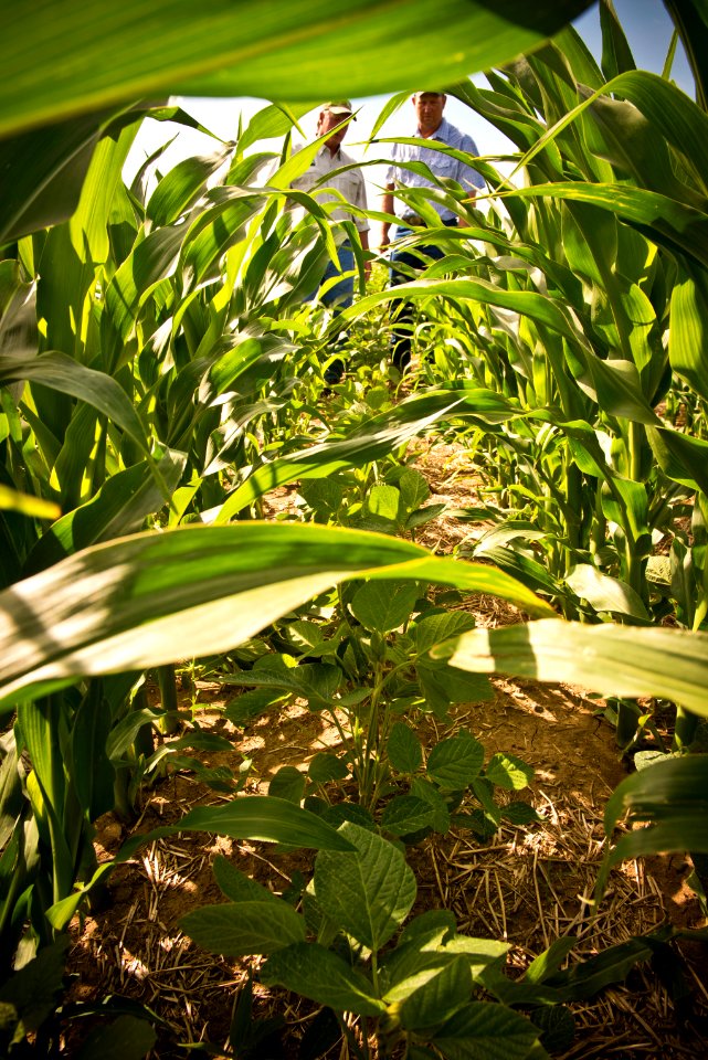 6679 NRCS projects.jpg