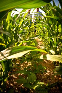 6679 NRCS projects.jpg
