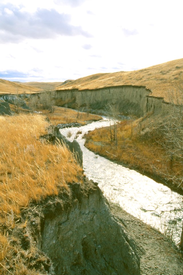 Riparian54.tif