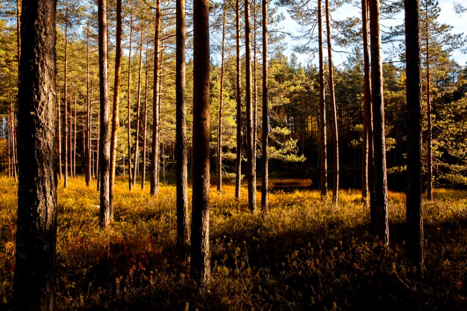 Iso-Melkutin, Loppi, Finland.