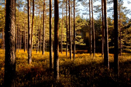Iso-Melkutin, Loppi, Finland.