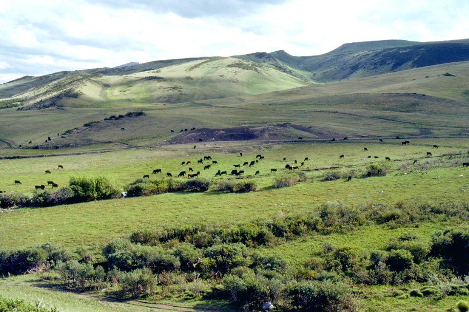 Rangeland28.tif