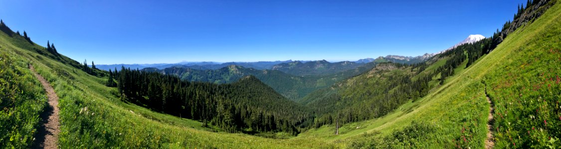 Tatoosh Wilderness in WA