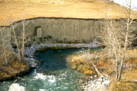 Riparian51.tif