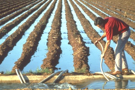 Irrigation42.tif