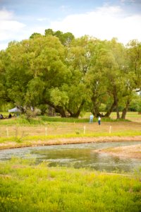 4618 NRCS projects