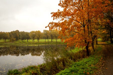 Aulanko, Hämeenlinna, Finland. photo