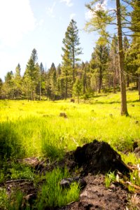 1107 NRCS projects