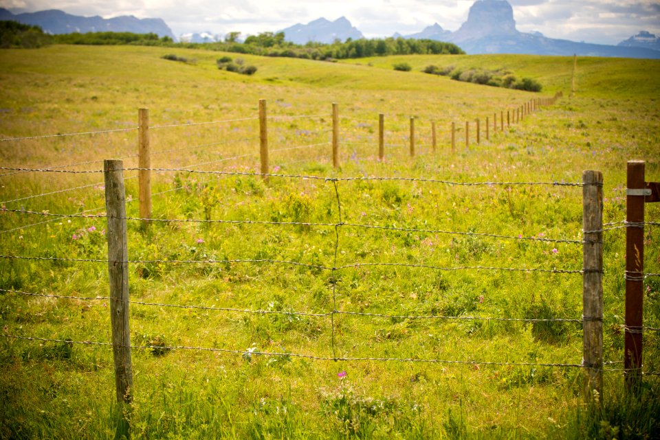 5386 NRCS projects