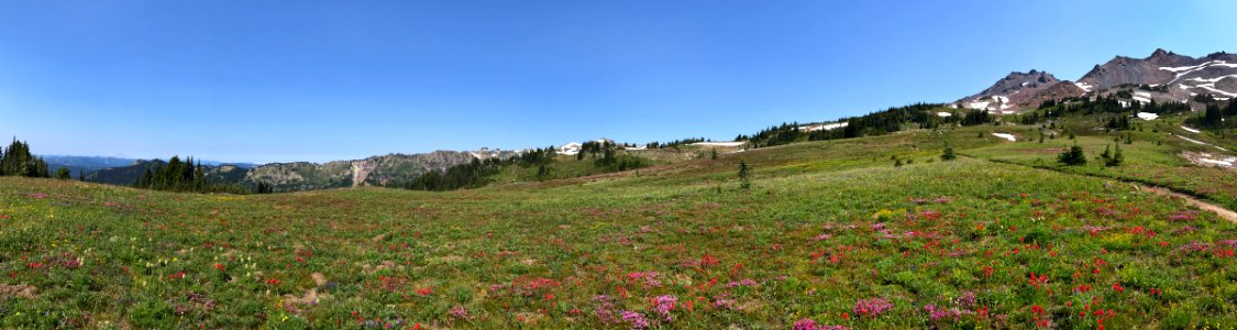 Snowgrass Flats in WA