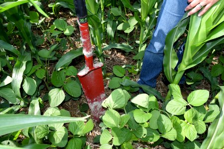 conservationtillage173