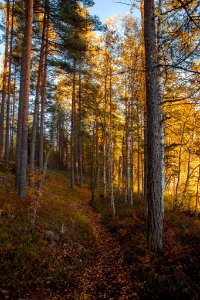 Iso-Melkutin, Loppi, Finland.