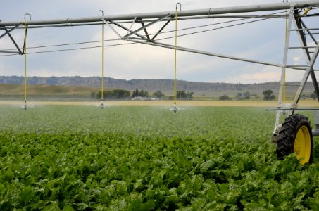 irrigation106