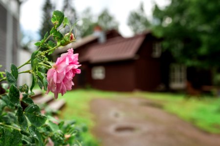 Portaan nahkurinverstas, Tammela, Finland