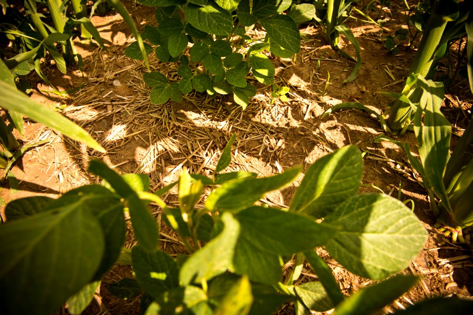 6664 NRCS projects.jpg