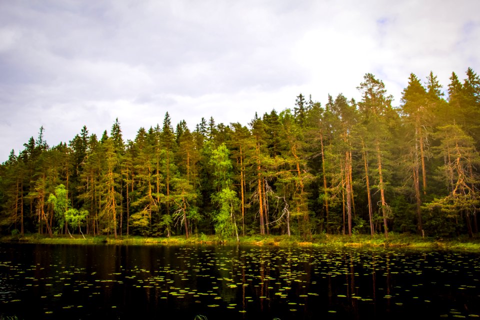 Evo Hiking Area, Hämeenlinna, Finland