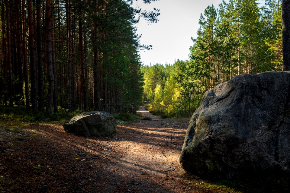 Poronpolku, Loppi, Finland