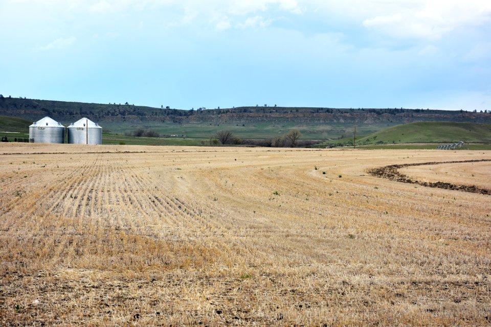conservationtillage76