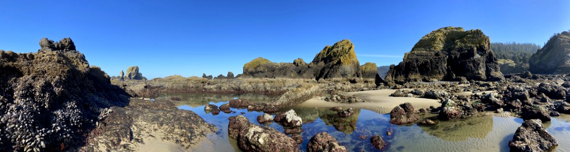 Ecola Point at Pacific Coast in OR photo