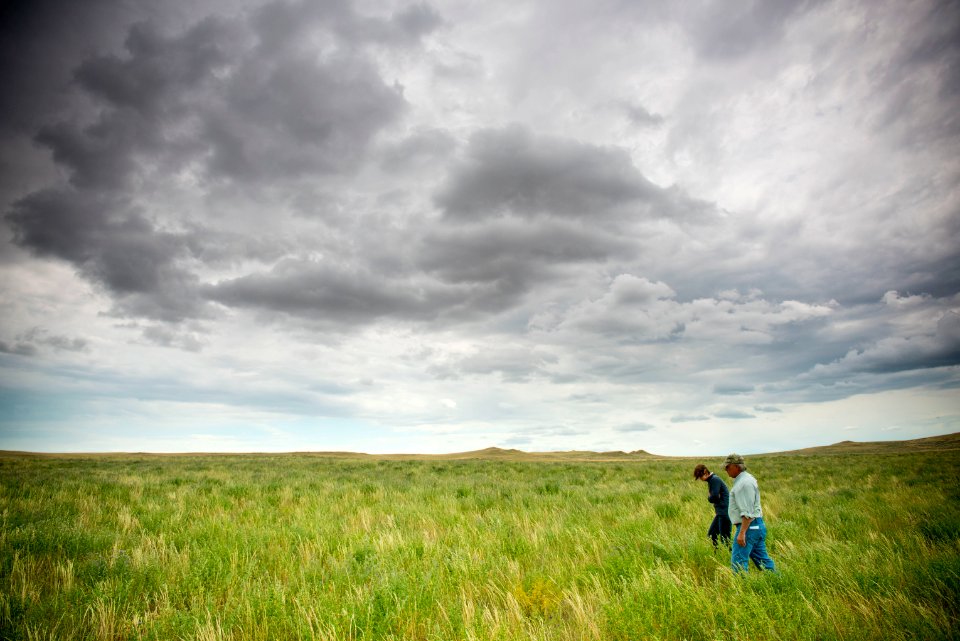 6823 NRCS projects.jpg