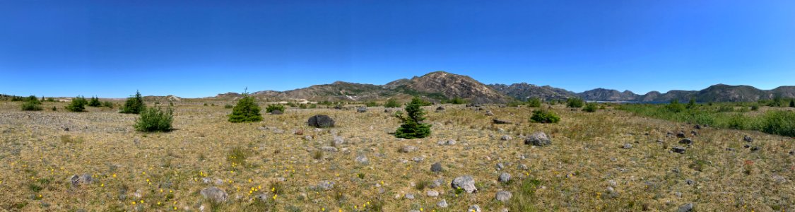 Mt. St. Helens NM in WA