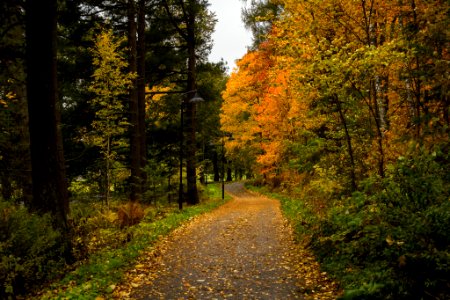 Aulanko, Hämeenlinna, Finland.