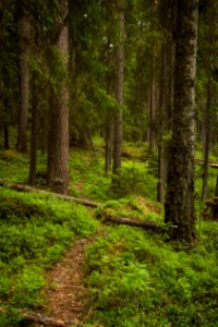 Evo Hiking Area, Hämeenlinna, Finland