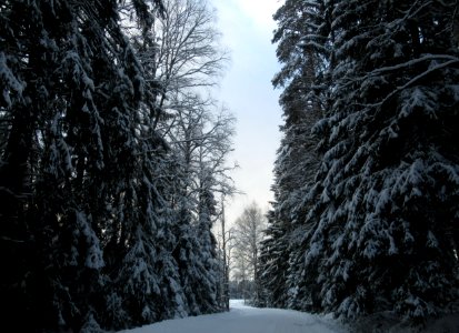 Hämeen Härkätie, Finland