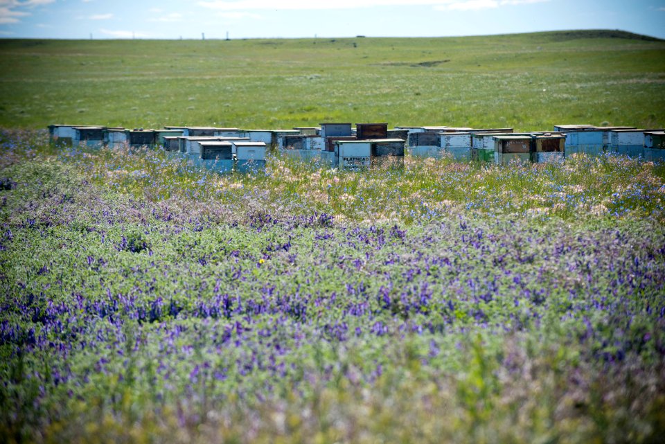 5060 NRCS projects