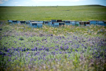 5060 NRCS projects