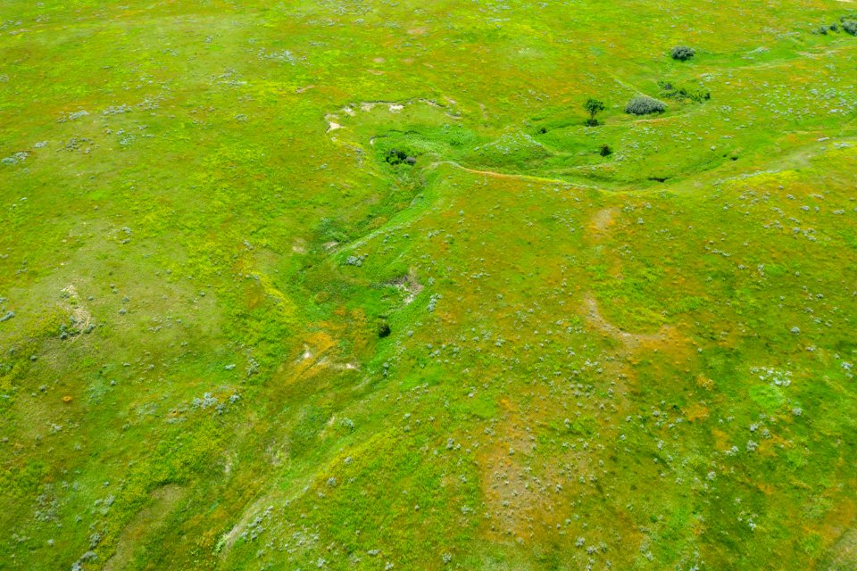 Jgibson Day8 0066 DJI 0891