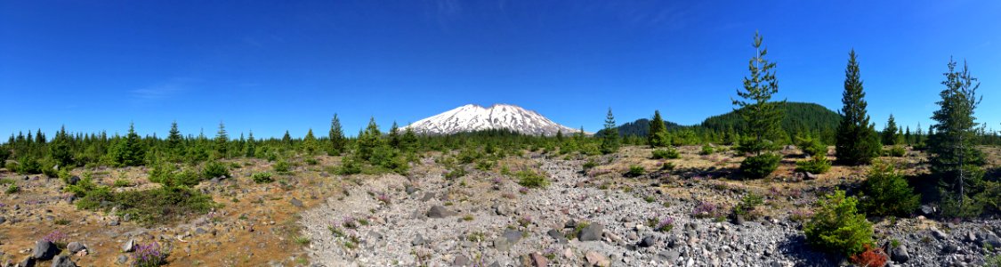 Lahar Viewpoint at Mt. St. Helens NM in WA