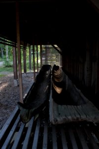Saaren kansanpuisto, Hämeen Härkätie, Finland