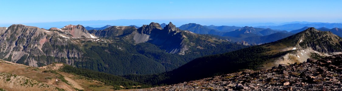 Mt. Rainier NP in WA