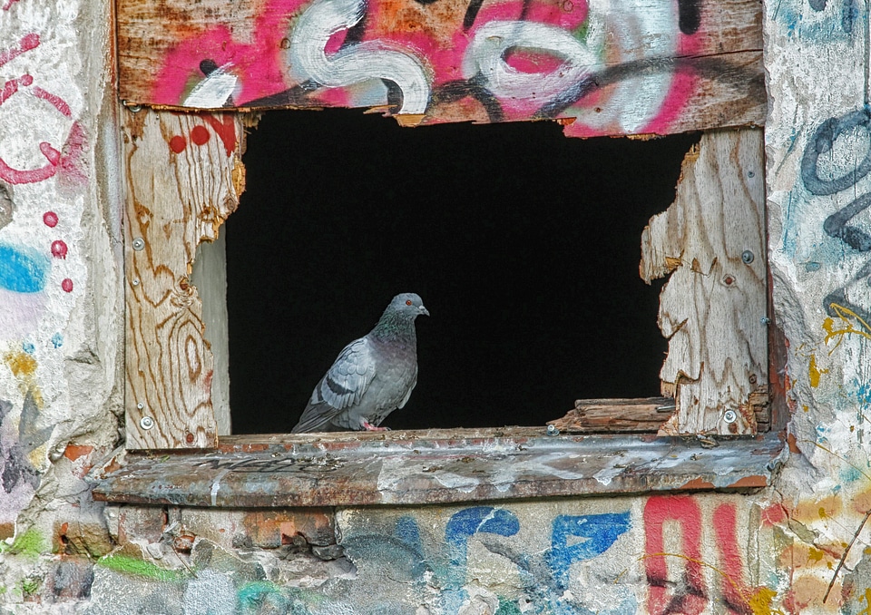 Graffiti sill outside