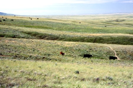 Rangeland32.tif