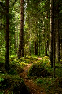 Evo Hiking Area, Hämeenlinna, Finland