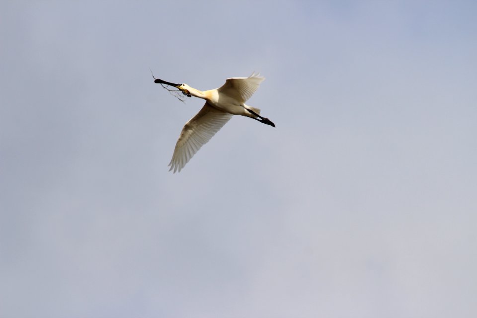 IMG 4395