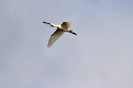 IMG 4395