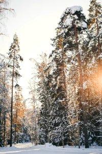 Aulanko, Hämeenlinna, Finland