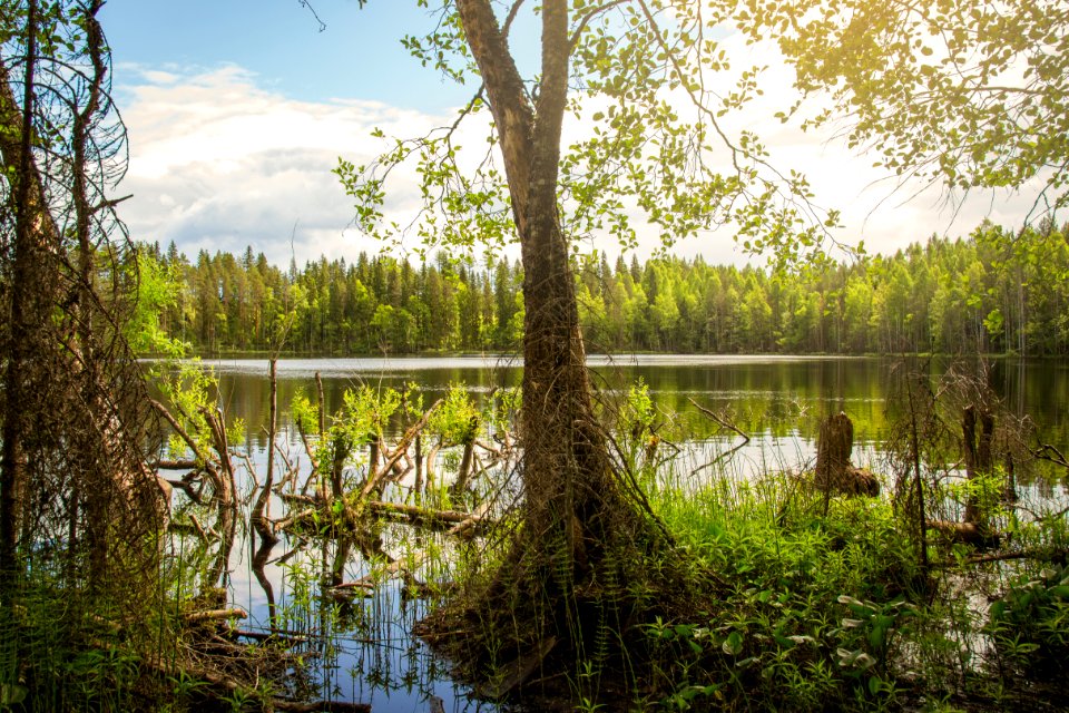Evo Hiking Area, Hämeenlinna, Finland