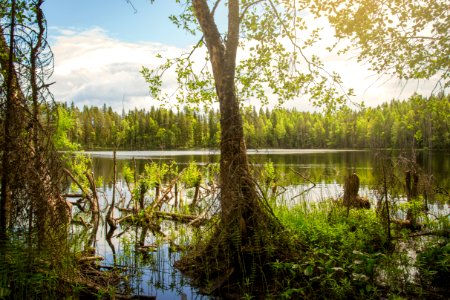 Evo Hiking Area, Hämeenlinna, Finland