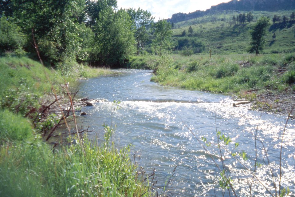 Stream Habitat02.tif
