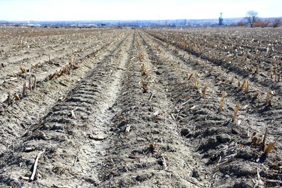 conservationtillage24